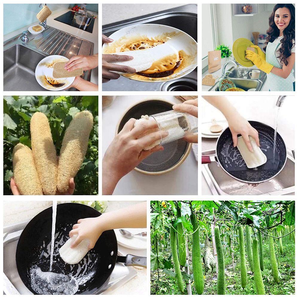 Epoch Mút Rửa Chén Dĩa Bằng Sợi Xơ Mướp Không Trầy Xước Có Thể Tái Sử Dụng