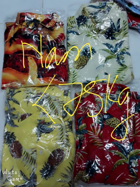 Pijama cổ sơmi 75kg | BigBuy360 - bigbuy360.vn