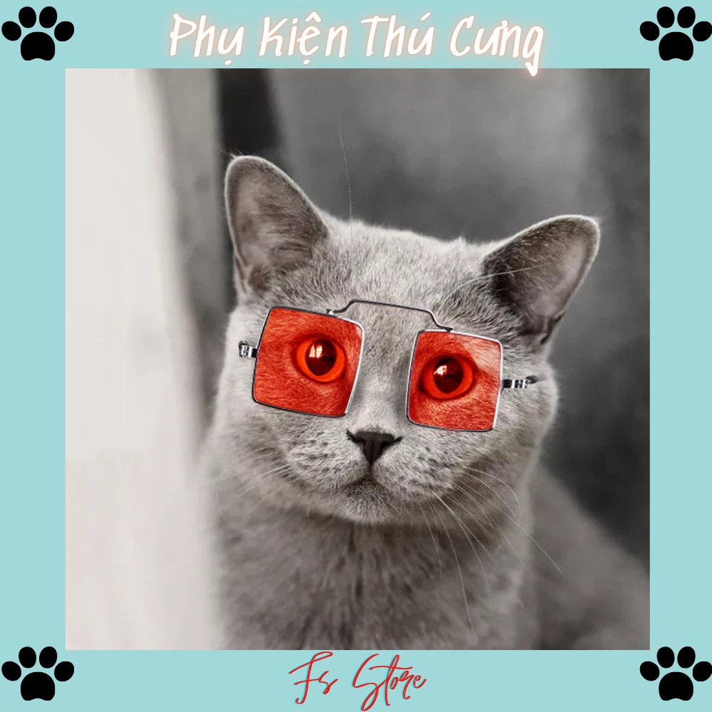 Mắt Kính Cho Chó Mèo, Kính Thời Trang Cho Thú Cưng, Z8