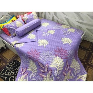 Bộ ga cotton korea