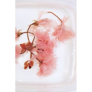 Hoa anh đào muối 50 gam