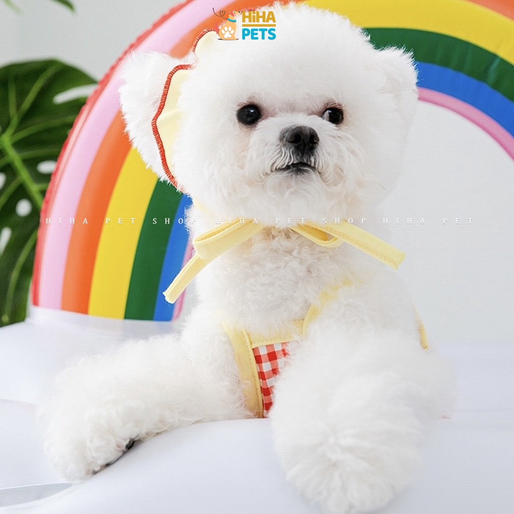 Áo Thun Cho Chó Mèo Có Nón Mát Mẻ Mùa Hè Quần Áo Thú Cưng 2022 Giá Rẻ Hihapet.