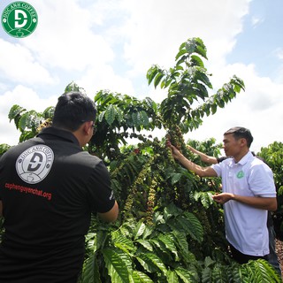 Cà Phê Đức Anh Arabica
