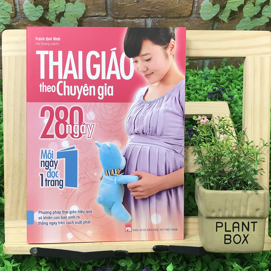 Sách - Thai giáo theo chuyên gia - 280 ngày, mỗi ngày đọc 1 trang