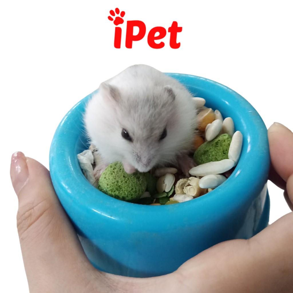 Chén Ăn Nhựa Dành Cho Hamster - Nhím - Sóc - Bọ - Thỏ - iPet Shop