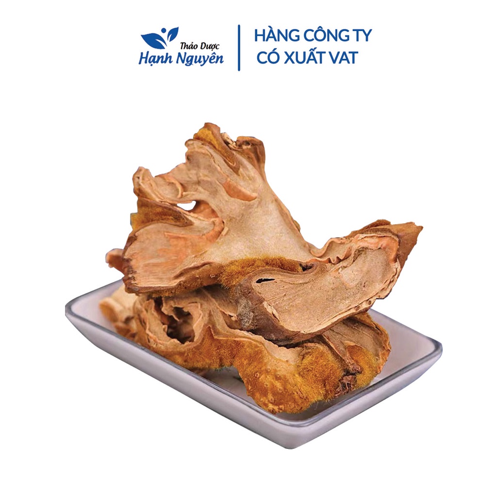 Cẩu tích chưa chế 500g (Cây lông culi giảm tiểu đêm, mạnh gân cốt) - Thảo Dược Hạnh Nguyên