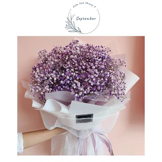 [FreeShip] Hoa Baby Khô🌸Gypsophila🌸 Decor VIntage, Chụp Ản