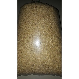 Vỏ trấu khô - 2kg
