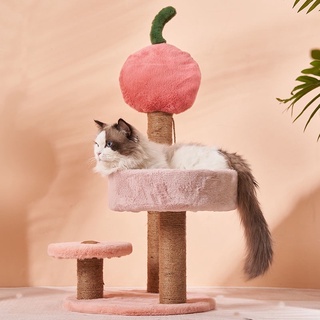 Cattree cho Mèo đáng yêu💕 Ảnh khách feedback cực xinh xắn