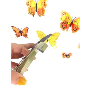 MŨI PHAY ĐÁNH VÁN HUỲNH CỬA H11