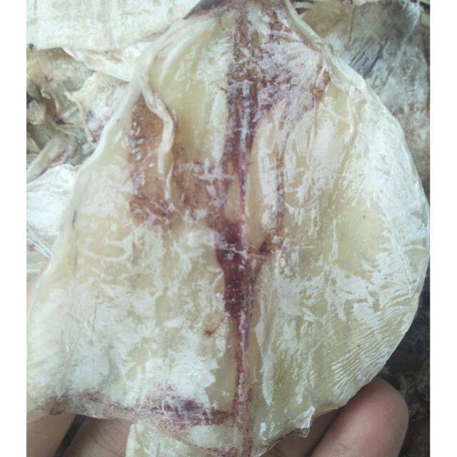 [Mã 267FMCGSALE giảm 8% đơn 500K] 31 Con Mực Mi Ni Y Hình | BigBuy360 - bigbuy360.vn