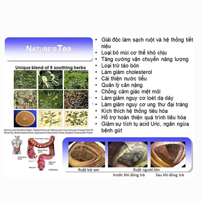 Trà Detox, Thải Độc Ruột Nature's Tea KAROT Bảo Vệ Sức Khỏe Hộp 30 Gói x 2Gam