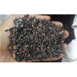 PHÂN DƠI NGUYÊN CHẤT - 500 Gram/ gói