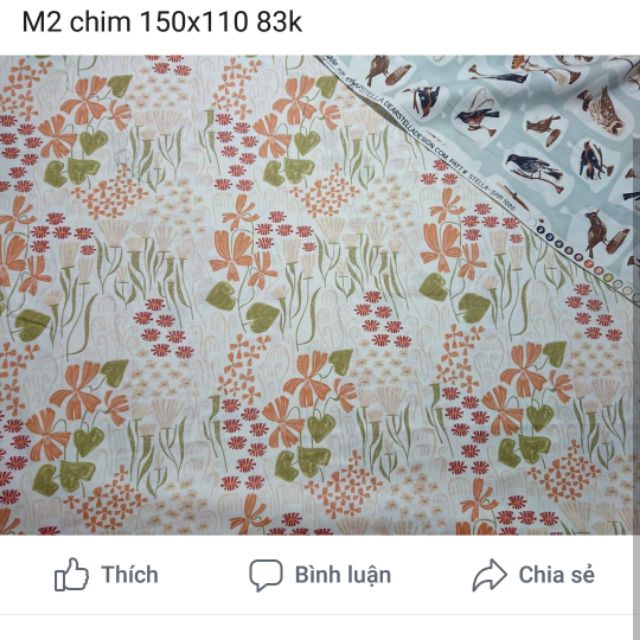 Sét vải của c Hiền Phạm