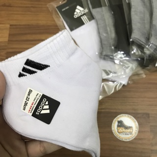 Combo 3 tất Adidas cotton co dãn
