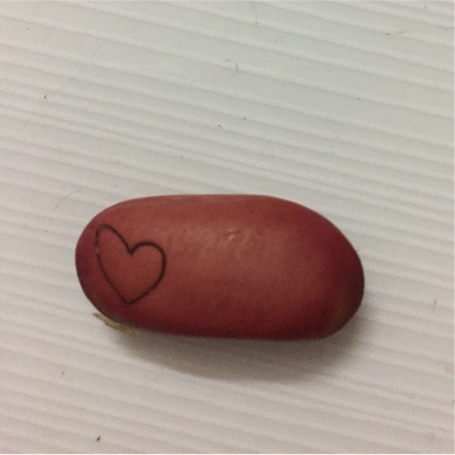 Đậu thần kỳ I LOVE YOU