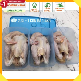 Tupperware💕Freeship💕Hộp trữ đông 2.3L - 1.5L- 650ml