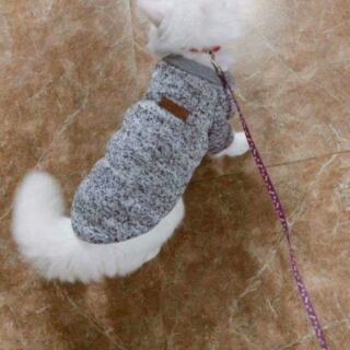 Dây dắt đai người cho mèo,chó nhỏ