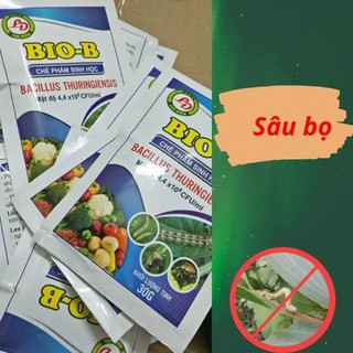 Combo 10 gói bio b