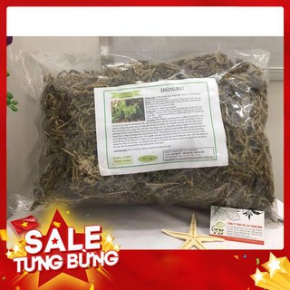 Cây Thông Đất (Râu rồng) 1Kg - Đông Y Thanh Bình