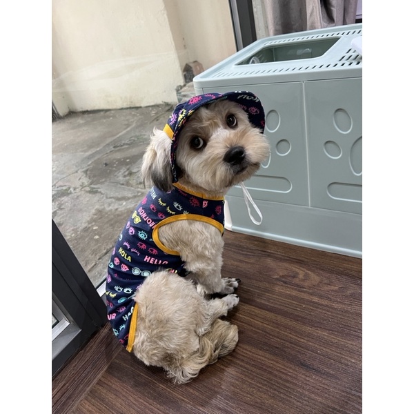 Set áo ba lổ kèm nón cho chó mèo