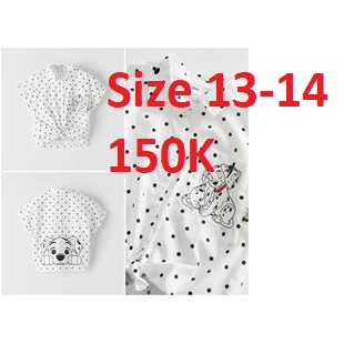Áo sơ mi Zara kids