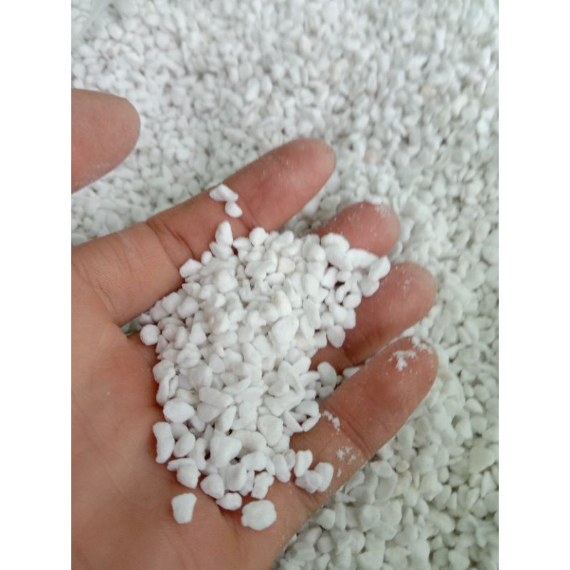 [TRANG TRÍ ] 100GR ĐÁ PERLITE ĐÁ TRỒNG SEN BONUS MỘT BÀN TAY ẤM ÁP CỦA CHỦ SHOP CHO AI ĐÓ CẦN