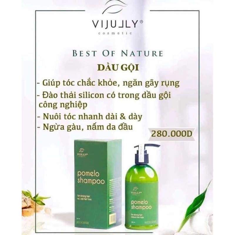 POMELO SHAMPOO - Dầu gội bưởi ViJully 🎁cột tóc srunchies + thiệp