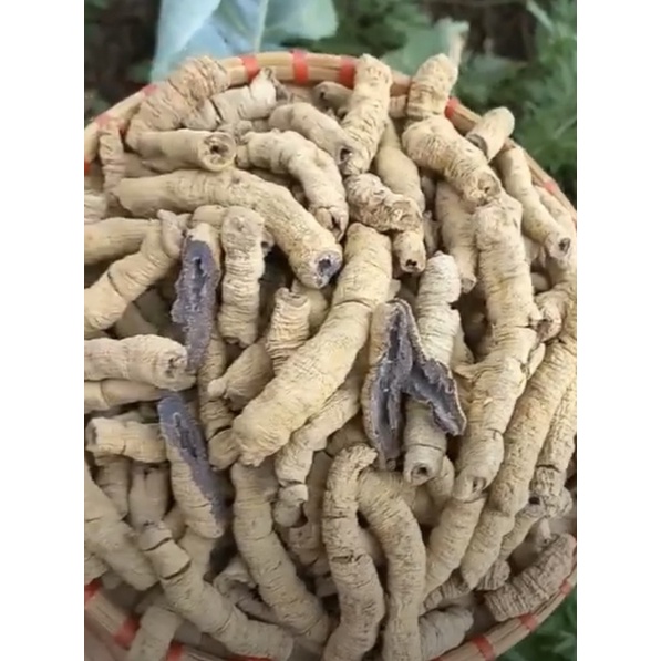 1kg Ba kích nguyên củ hàng việt nam loại 1