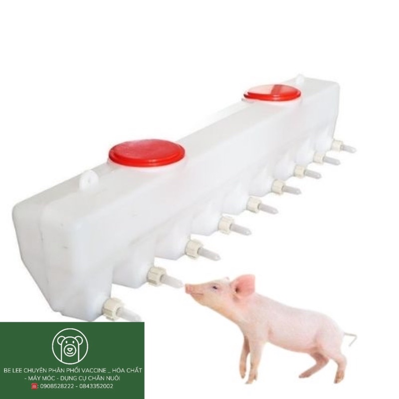 Bình bú sữa heo con, vú giả 6-9 núm cho lợn con dung tích 7- 10 lít