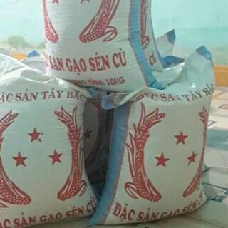 10Kg gạo séng cù 1(gạo mới)