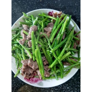 Gốc măng tây