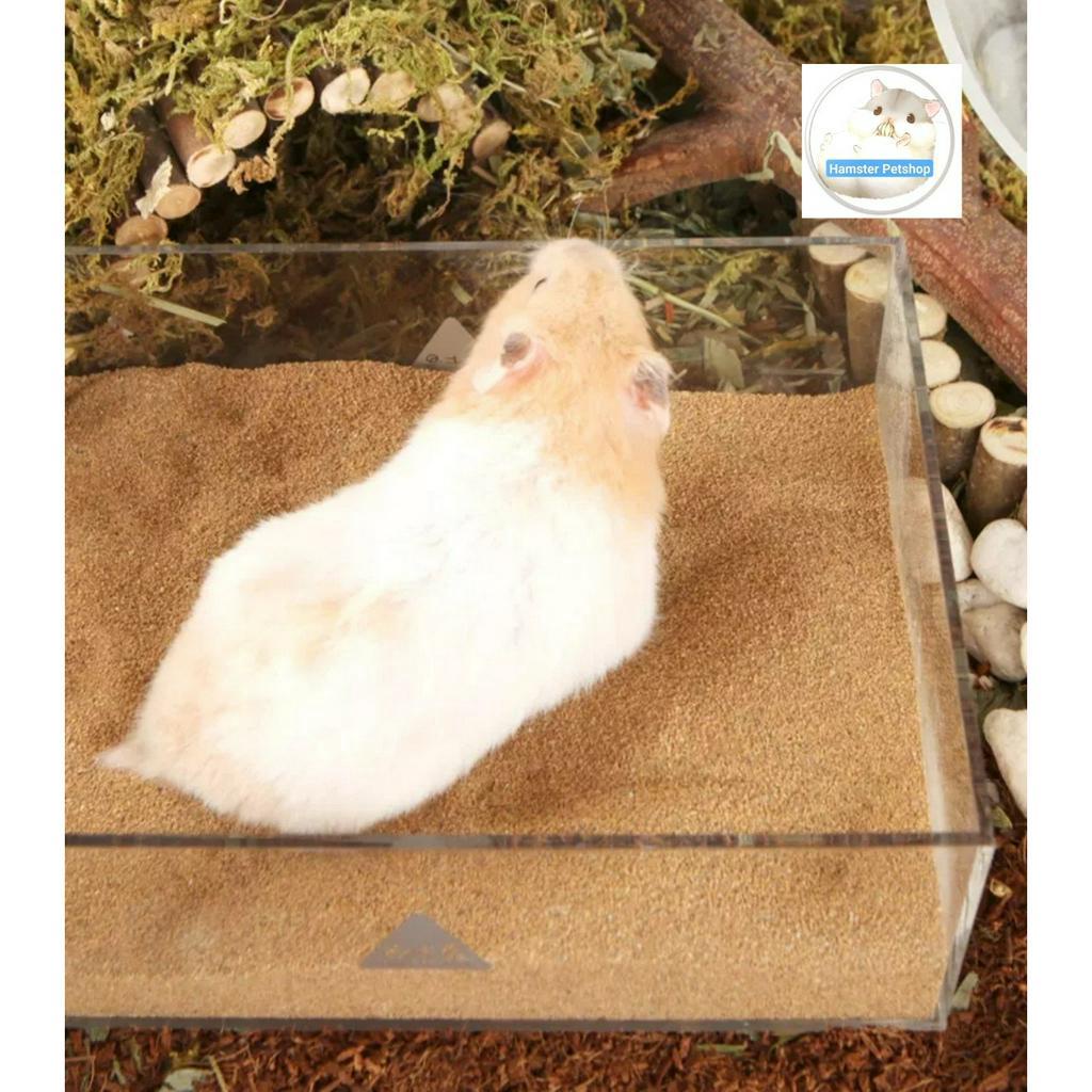 Cát sa mạc 1kg làm lót chuồng,cát tắm cho hamster và thú cưng nhỏ