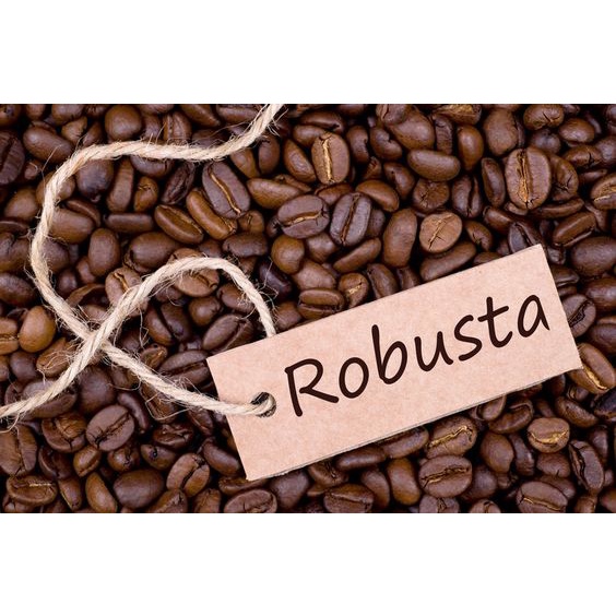Cafe hạt Robusta rang xay nguyên chất Đăk Lăk