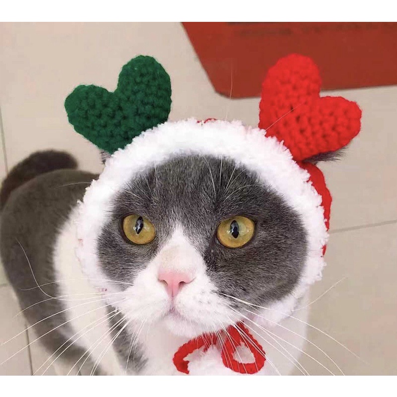 Mũ trái tim xanh đỏ giáng sinh cho thú cưng