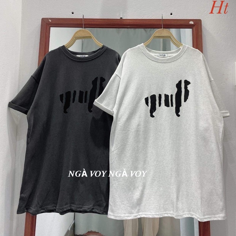 Áo phông cún sọc HT11
