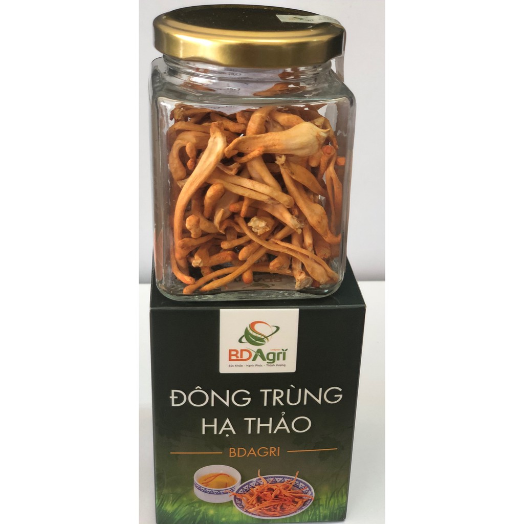 [NÓI KHÔNG VỚI HÀNG NHÁI TQ] ĐÔNG TRÙNG HẠ THẢO SẤY THĂNG HOA CAO CẤP BDAGRI [ HỘP 10G LOẠI I] | BigBuy360 - bigbuy360.vn