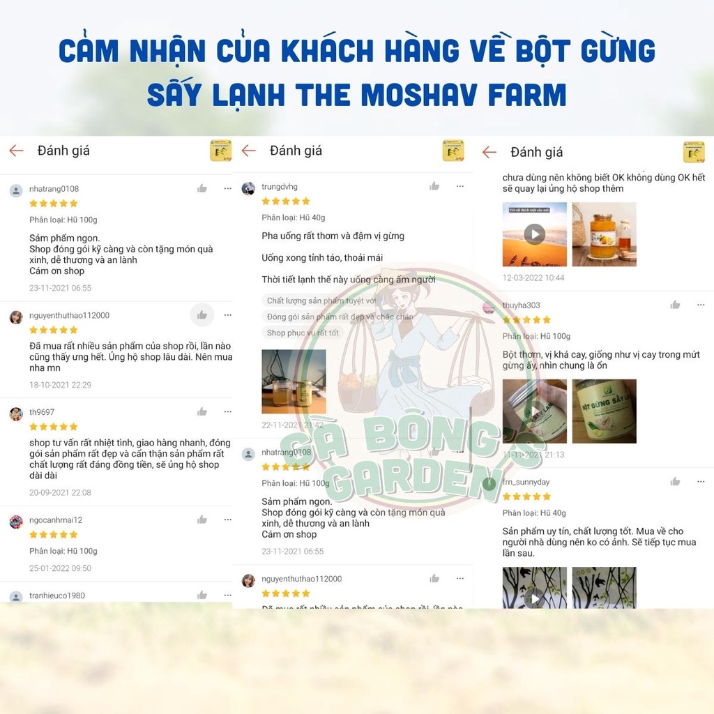 Bột Gừng Sấy Lạnh The Moshav Farm Nguyên Chất Hữu Cơ Ngâm Chân Gia Vị Hằng Ngày