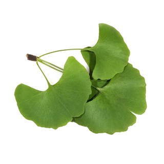 Viên gingko bổ não hữu cơ Purasana (120V)