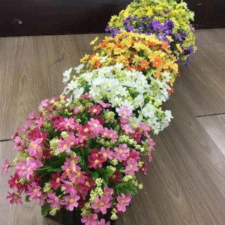 Hoa giả- cụm Cúc xẻ nhí