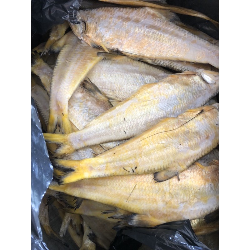 khô cá lẹp vàng