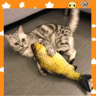 Cá Nhồi Bông Catnip Hình Cá Chép
