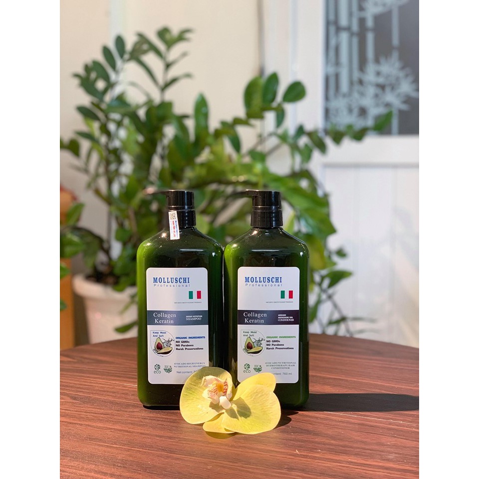 Dầu Gội Phục Hồi Molluschi 760ml x 2