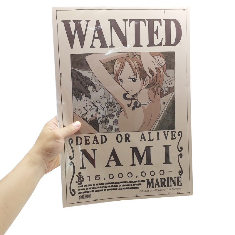Poster One Piece - Lệnh Truy Nã Nami - TeenBox