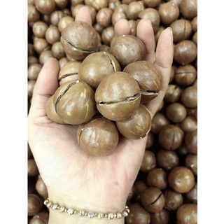 hạt macca Úc nứt vỏ