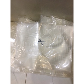 Xấp bìa nút A4 My Clear (12 cái/xấp)