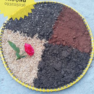  Đất Trộn Sẵn Cho Hương Thảo (Bao 5kg)