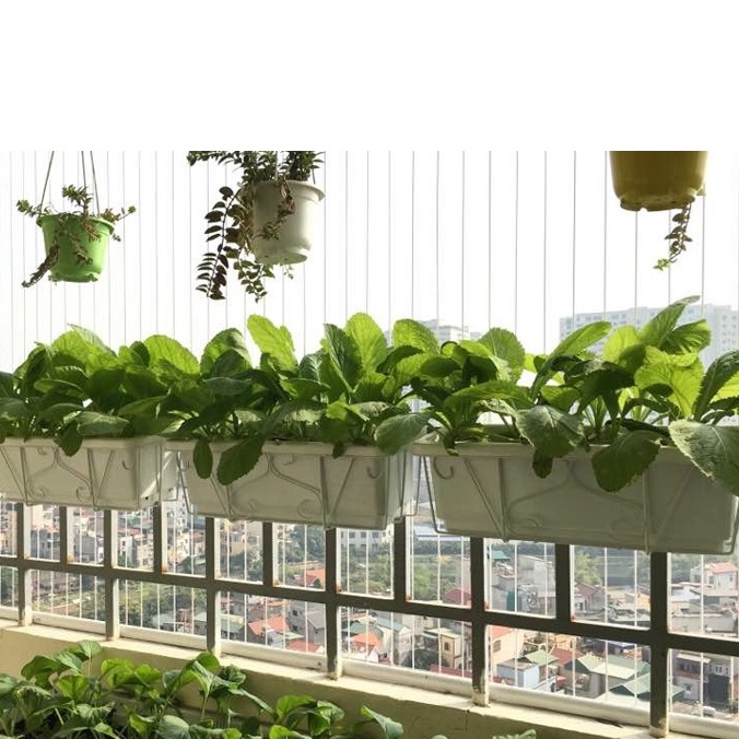 Combo Bộ Chậu dài trồng Rau, Thủy Canh, Nuôi Cá Sân Thượng, Trồng hoa kiểng (size 48: Chậu+khung+vĩ lót)