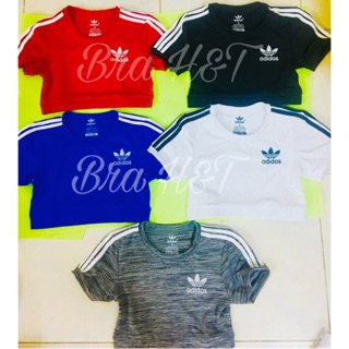 Áo gym adidas