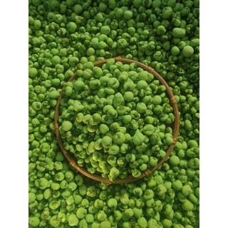 ĐẬU HÀ LAN WASABI LON 300GRAM